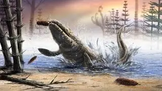 Meet Tiktaalik Roseae