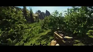 Caddy using his invisibility hacks 