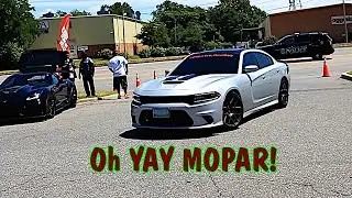 Shelby Stang! Cammed American Muscle Cars At Cars And Coffee!