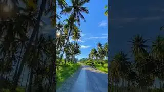 Template Vlog Cinematic Slowmo 