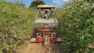 UM DOS MELHORES INVESTIMENTOS PARA VOCÊ CAFEICULTOR