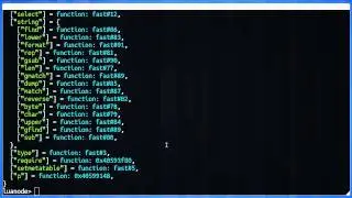 luanode.webm