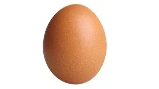 Curb Your Instagram World Record