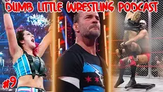 ROYAL RUMBLE Review, CM Punk INJURED, Great AEW Cage Match | Dumb Little Wrestling Podcast #9