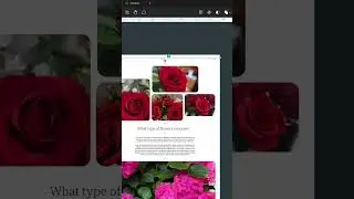 #shorts 1. Web Design for new blog.