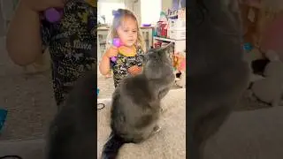 Gatos 🐈Y niños 👦Traviesos🤣