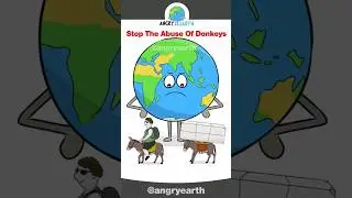 Stop The Abuse Of Donkeys 