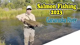 Ganaraska River Moster 2023 Salmon Fishing Port Hope Ontario