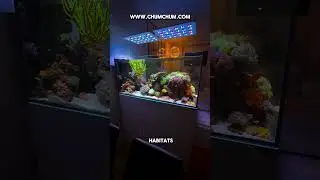 Building a Balanced Aquarium Ecosystem 🐠🌱