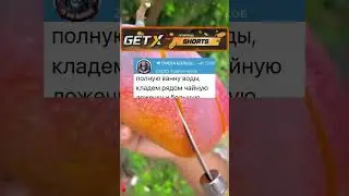 Корреспондент в дурдоме #анекдоты #шортс #приколы
