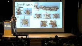 Pop-up Lecture: Exploring Anatomy - Tip to Tail