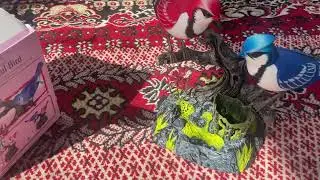 Beautiful bird garden toy Review