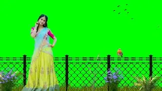 beautiful green screen video effect | new green screen video effects