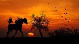 Horse walking, The relaxing sound of horses hooves 1 hour 30 minutes