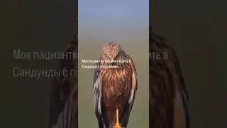 Когда пациентка решила сходить в Сандуны…