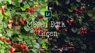 Moody Dark Green - Lightroom Mobile editing ।। Moody Green Lightroom Mobile