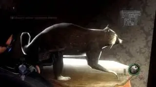 [Гайды] Resident Evil: Operation Raccoon City. Гайд по сбору всех Енотов.