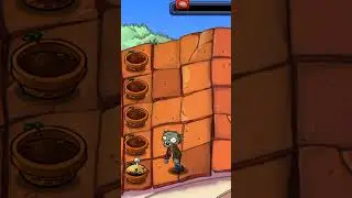 Plants vs Zombies | PvZ Shorts | #shorts  #1724