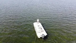 Yo con Mi bote 2020 16 de lulio
