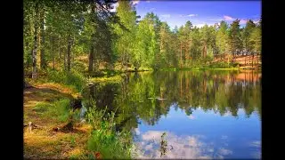 №35 Очищение и выравнивание структур по вибрациям