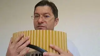 Одинокий пастух, двенадцатый отрывок