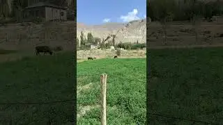 #ватан