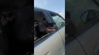 на движении 