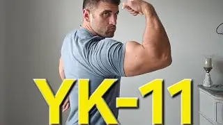 SARM YK11- WHAT TO EXPECT