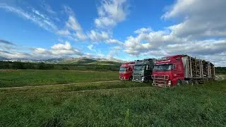 Утилизируем шпалы 150 тонн #большегруз #дальнобой #moisei