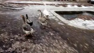 И так всегда. Meanwhile in Russia.