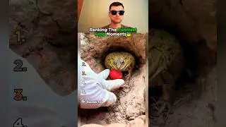 Top 6 Frog Moments That Made Us Laugh!