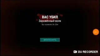 щенок увёл меня к медведю?