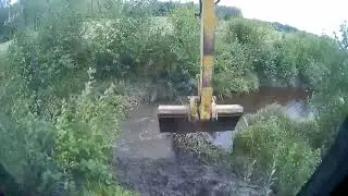 The beaver blocked the river