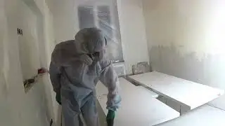 Укрывка стен. И покраска дверей invizibol.