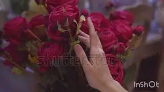 bir kızıl goncaya benzer dudağın