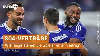 Schalke-Verträge im Überblick: Die Laufzeiten aller Profis des S04
