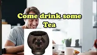 Moar Funny Rust moments!
