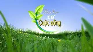 TRAILER: CHƯƠNG TRÌNH BÀI HỌC TỪ CUỘC SỐNG