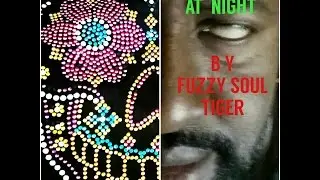 Can't Sleep At Night (An Original Blues Song) by Fuzzy Soul Tiger