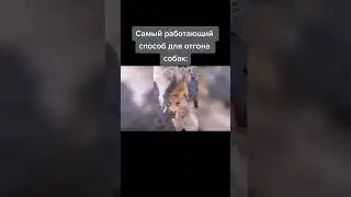 #мем