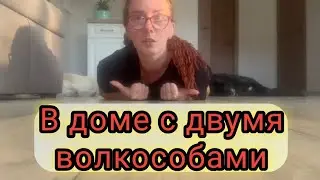 Новый дом волкособа Гул'дана 🏡🐺