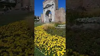 ЧУДОВІ КВІТИ І ЖИТТЯ...