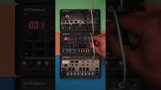 Roland S-1 CHORD5