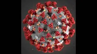 «Лекция: «Нутритивная поддержка в проведении интенсивной терапии при COVID-19»
