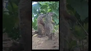 Attention Please!