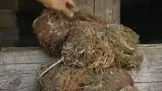 Дмитровский умелец из деревни Святогорово