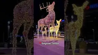 🇷🇸 Предновогодний Белград. Сербия 