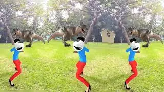Dinosaur Safari: Trekking through Time to Find Ancient Beasts/Gorilla Encounter