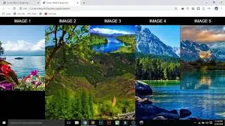 Image Zoom Effect Animation  HTML CSS3 Tutorial | Vickey Technical