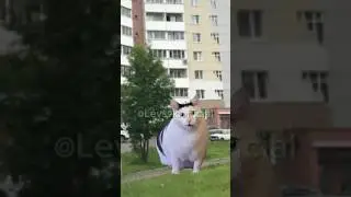 До какого города дошло это видео?🤔